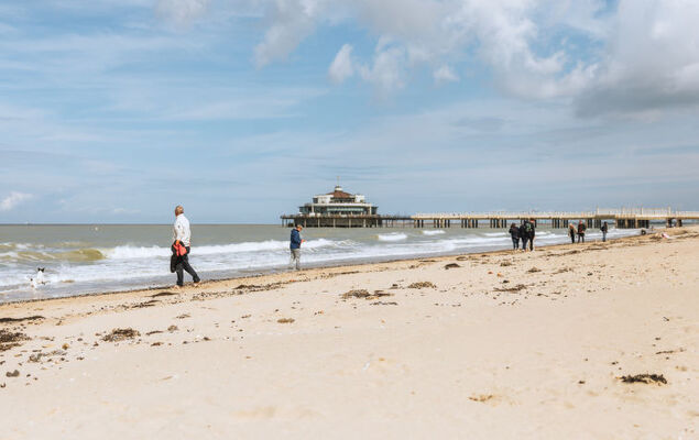 Ocean Dream with seaview - Photo 19