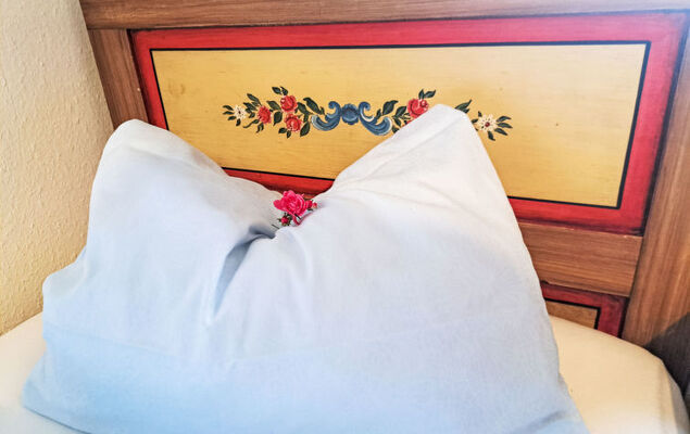 Lindnerhof - Photo 20