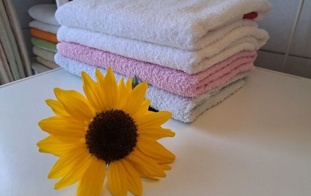 Lindnerhof - Photo 27