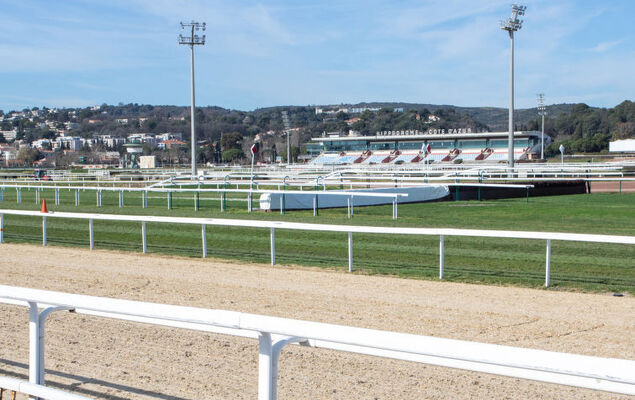 Le Grey Pearl - Photo 30