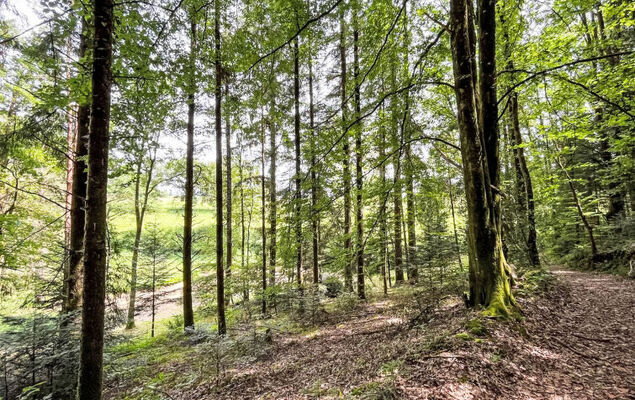 Le Havre de Lage - Photo 30