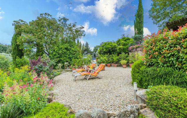 Corbezzolo - Photo 19