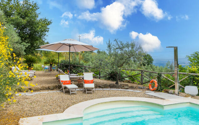 Corbezzolo - Photo 27