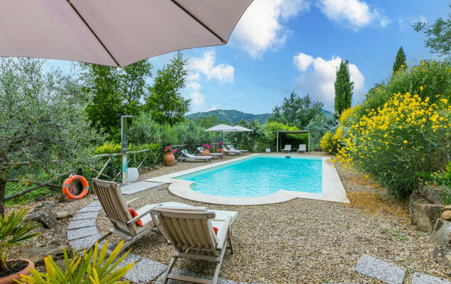 Corbezzolo - Photo 30