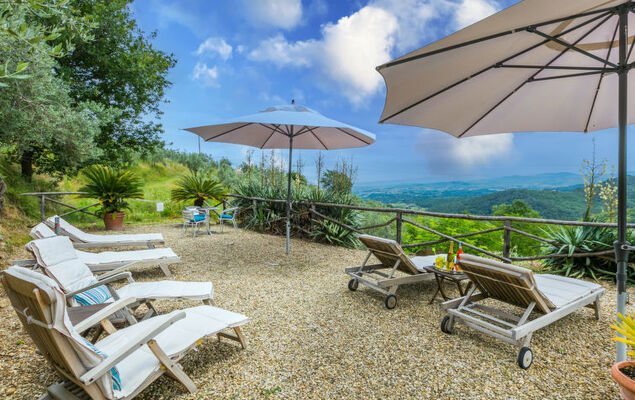 Corbezzolo - Photo 31