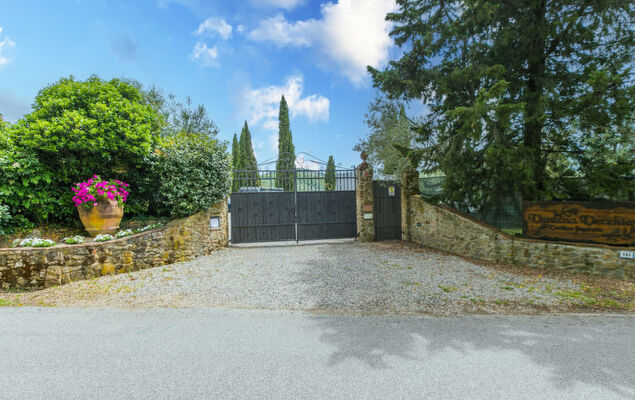 Corbezzolo - Photo 33