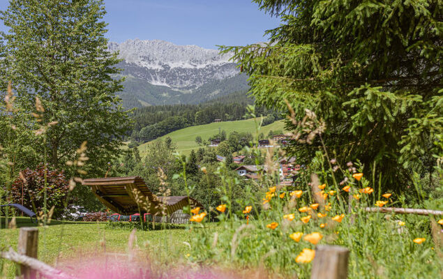 Studio Esche 2 - Photo 38