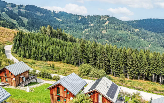 Firewater-Hütte - Photo 30