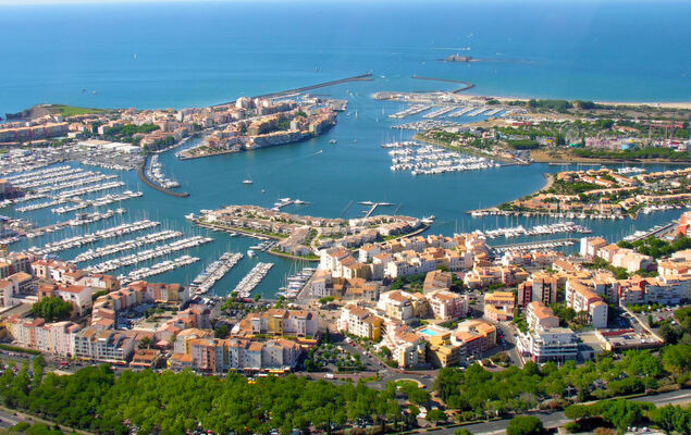 La Palme d'Or - Photo 20