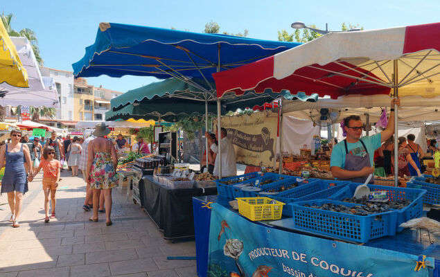 La Palme d'Or - Photo 23