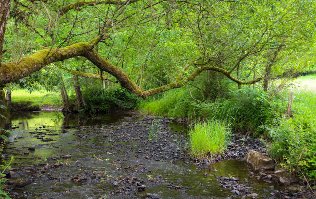 La Rochette - Photo 16